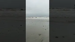 Live action from #hurricanian on Folly Beach, SC.