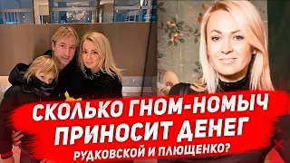 Сколько зарабатывают на СЫНЕ ПЛЮЩЕНКО И РУДКОВСКАЯ? Эксплуатация Гном Гномыча по полной программе