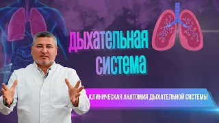 Клиническая анатомия дыхательной системы