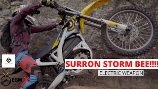 SURRON STORM BEE !!! best entry bike or full on weapon?