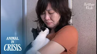 "Though You Kick Me Out, I Don't Hate You" Cat Comforts A Crying Lady | Animal in Crisis EP249