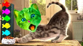 LITTLE KITTEN ADVENTURE - FUNNY CARTOON ANIMATION WITH CAT AND KITTEN (GREEN CAT)