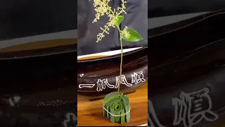 Flower arrangement with amaryllis