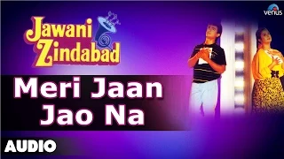 Jawani Zindabad : Meri Jaan Jao Na Full Audio Song | Aamir Khan, Farah Khan |