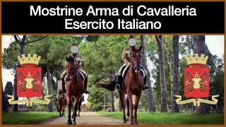 Mostrine Arma di Cavalleria Esercito Italiano