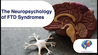 The Neuropsychology of FTD Syndromes