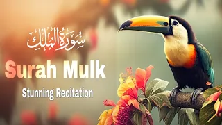 Surah Mulk | Epi 121 | Surah Mulk Relaxing Heart Touching| Recitation Surat Al Mulk