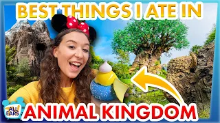 Best Things I Ate in Disney's Animal Kingdom