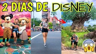 VLOGÃO NA DISNEY (ANIMAL KINGDOM E HOLLYWOOD STUDIOS) ♥ - Bruna Paula