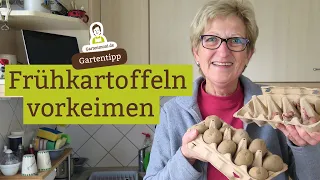 Frühkartoffeln vorkeimen im Februar - So gehts