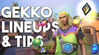 Gekko Sunset Lineups and Tips - to Help You INSTANTLY Improve