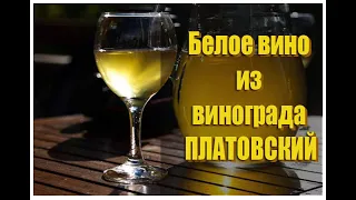 Как сделать Белое вино из винограда ПЛАТОВСКИЙ.