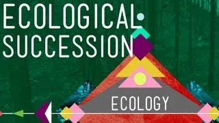 Ecological Succession: Change is Good - Crash Course Ecology #6