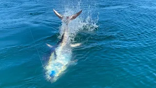 GIANT Bluefin Tuna in SHALLOW water off Long Island, New York