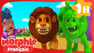 Le vrai lion et le lion vert | Morphle en Français | Dessins Animés Pour Enfants