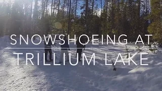 Snowshoeing Trillium Lake