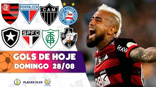 TODOS OS GOLS DESTE DOMINGO 28/08/22 | GOLS PELO BRASILEIRÃO SÉRIES A E B