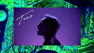 LAU - True (Official Video)