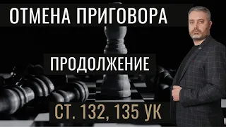 Продолжение - Отмена приговора в Челябинском областном суде статьям 132 и 135 УК РФ