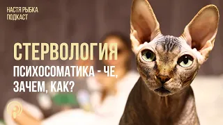 Психосоматика — че, зачем, как? | Подкаст СТЕРВОЛОГИЯ