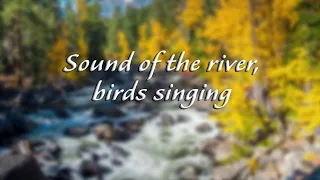1 stunda relaksējošas upes skaņas Putnu dziedāšana un ūdens skaņas relaksācijai