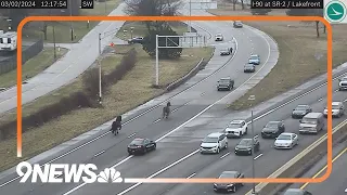 CAUGHT ON TAPE: Two horses run loose on Cleveland interstate