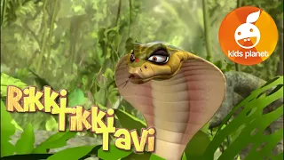 RIKKI TIKKI TAVI Episode 11 | cartoons for kids | stories for children | Jungle book by R. Kipling