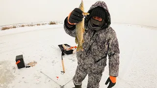 ЭТА СНАСТЬ ЛОВИТ ВСЕГДА И ВЕЗДЕ!!! ПОЛОСАТЫЕ АРБУЗЫ НА ХАПУГУ-ХЛОПОК. ГЛУХОЗИМЪЕ НЕ ЗА ГОРАМИ