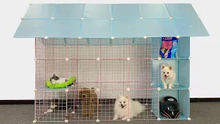 Making Home For Pomeranian Puppies & Kitten - How To Make Dog House For Cute Pomeranian - MR PET #79