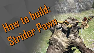 How to build an actually useful Strider Pawn
