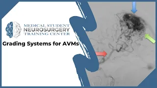 Grading Systems for AVMs