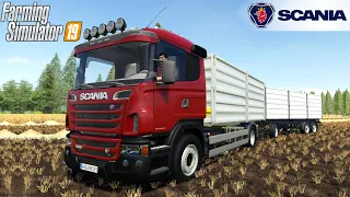 Farming Simulator 19 - SCANIA R GRAIN Truck Hauling Barley From the Harvest Field