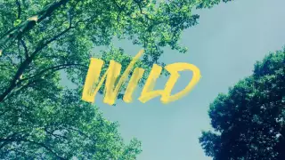 WILD - Troye Sivan (Cover by Zachary)