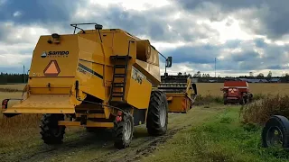 Sampo 2045 & 2x Massey-Ferguson 186