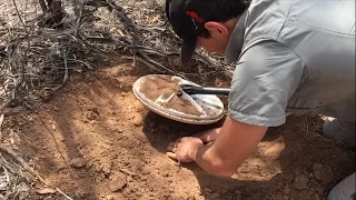 GOLD NUGGET Hunting - Australia -  METAL DETECTING GPZ 7000 Minelab