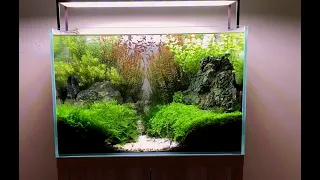 How to build an Aquascaped 60CM Planted Tank