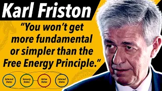 Karl Friston's Unfalsifiable Free Energy Principle