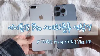 아이폰13 프로 시에라블루 언박싱 그리고 아이폰8플러스와 간단 비교 (iPhone13 pro Sierra blue unboxing & iPhone8 plus silver)