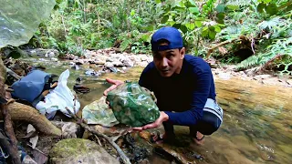 MEMBAWA PULANG BATU GIOK HIJAU KRISTAL JUTAAN RUPIAH,DARI PEDALAMAN HUTAN !!