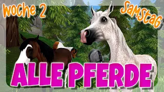 ALLE 4 PFERDE SAMSTAG - WOCHE 2 🐴 WESTERN CAMP 2024 GUIDE ✨ | Star Stable [SSO]