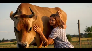 Hamsi - Cow Cuddling Therapy (Munchen Produccions)