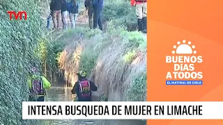 Intensa búsqueda en Limache: ¿Qué es lo que se sabe de la mujer desaparecida el día de la madre?