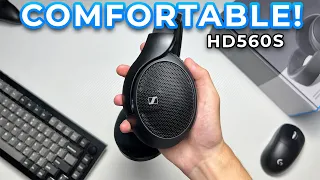 Why You Should Buy Sennheiser's HD560S