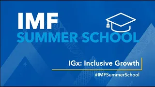 Introducing the First IMF Summer School