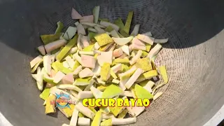 CUCUR BAYAO | JEJAK SI GUNDUL (23/08/23)