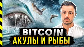 🧐 БИТКОИН. МАНИПУЛЯТОРЫ И ХОМЯКИ. ПСИХОЛОГИЯ ЧАСТЬ 8