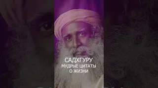 Мудрые цитаты о жизни - Садхгуру