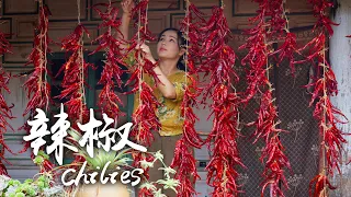 "Spices of Four Seasons" Chilies - The Indispensable Hot Happiness on the Table of Yunnan People