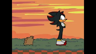 Shadow Meets a Hedgehog