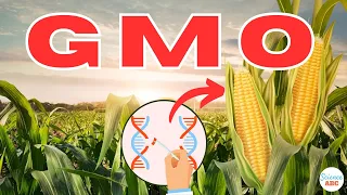 What are GMOs (Genetically Modified Organisms)?